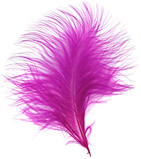 Magenta Marabou Feather 100-152mm