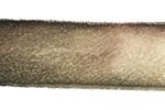 Moon Dust Hand Dyed Velvet Ribbon 1"