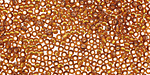 TOHO Smoky Topaz (with Silver Lining) Round 11/0 Seed Bead