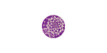 Lillypilly Purple Dahlia Anodized Aluminum Disc 11mm, 24 gauge