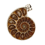 Ammonite Silver Wrapped w/ Bail Pendant 28-35x38-47mm