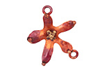 Patricia Healey Copper 5 Petal Flower Link 32x25mm
