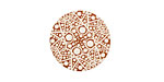 Lillypilly Bronze Geometrics Anodized Aluminum Disc 19mm, 24 gauge