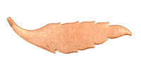 Copper Slender Leaf Blank 15x59mm
