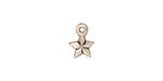 TierraCast Antique Silver (plated) Faceted Star Charm 8x11mm