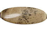 Mexican Painting Stone Wavy Flat Oval 55x21mm
