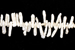 Pearly White Twig Biwa Stick Top Drilled 2-4x8-13mm