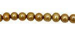 Gold Potato 6-7mm