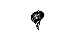 Twisted Shell Mini Rubber Stamp 9x14mm
