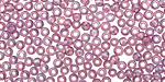TOHO Transparent Rainbow Light Amethyst Round 8/0 Seed Bead