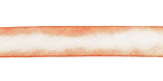 Peaches 'n Cream Hand Dyed 100% Silk Ribbon 7/16"