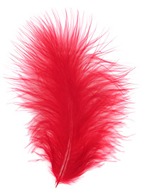 Scarlet Marabou Feather 100-152mm