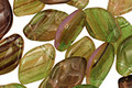 Czech Glass Spring Day Leaf Drop 8x12mm