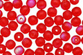 Czech Glass Matte Siam Ruby AB Round 4mm