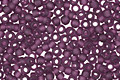 TOHO Transparent Frosted Amethyst Round 15/0 Seed Bead