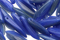 Czech Glass Periwinkle Dagger 5x15mm