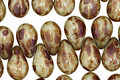 Czech Glass Luster Pistachio Picasso Teardrop 6x9mm