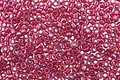 TOHO Gold Lustered Raspberry Treasure #1 Seed Bead