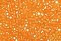 TOHO Transparent Frosted Dark Topaz Round 15/0 Seed Bead