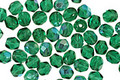 Czech Fire Polished Glass Green Emerald AB Round 4mm