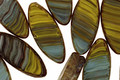 Czech Glass Overcast Horse Eye 18x8mm