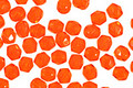 Czech Fire Polished Glass Hyacinth Round 3mm