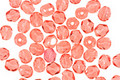 Czech Fire Polished Glass Milky Pink Round 4mm