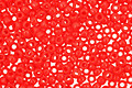 TOHO Opaque Cherry Round 15/0 Seed Bead