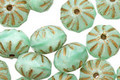 Czech Glass Spearmint w/ Gold Cruller 6x9mm