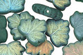 Czech Glass Teal Luster Maple Leaf 10x13mm