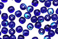 Czech Glass Cobalt AB Round 4mm