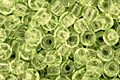 TOHO Transparent Citrus Spritz Round 8/0 Seed Bead