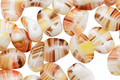 Czech Glass Spice Rack Petal 6x8mm