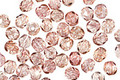 Czech Fire Polished Glass Luster Transparent Topaz/Pink Round 4mm