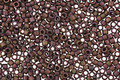 TOHO Frosted Metallic Iris Purple Treasure #1 Seed Bead