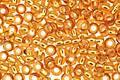 TOHO Topaz (with Silver Lining) Round 11/0 Seed Bead