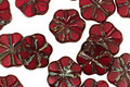 Czech Glass Merlot 6 Petal Daisy 9mm