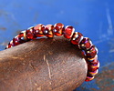 Czech Glass Matte Ruby Red w/ Metallic Rainbow Trica Beads 4x5mm
