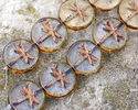 Czech Glass Bronzed Crystal Picasso Dragonfly Coin 17mm
