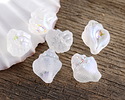 Czech Glass Matte Crystal AB Murex Shell 15x12mm