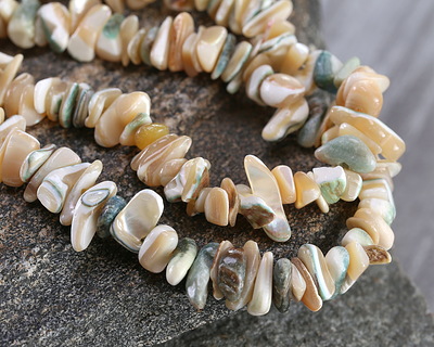 Green & Tan Turbo Shell Chip 2-8x6-14mm