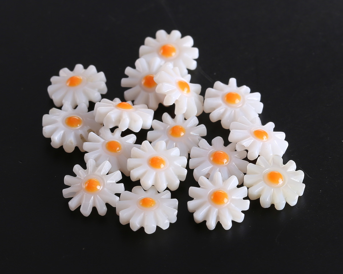 White Daisy Shell Coin 10mm