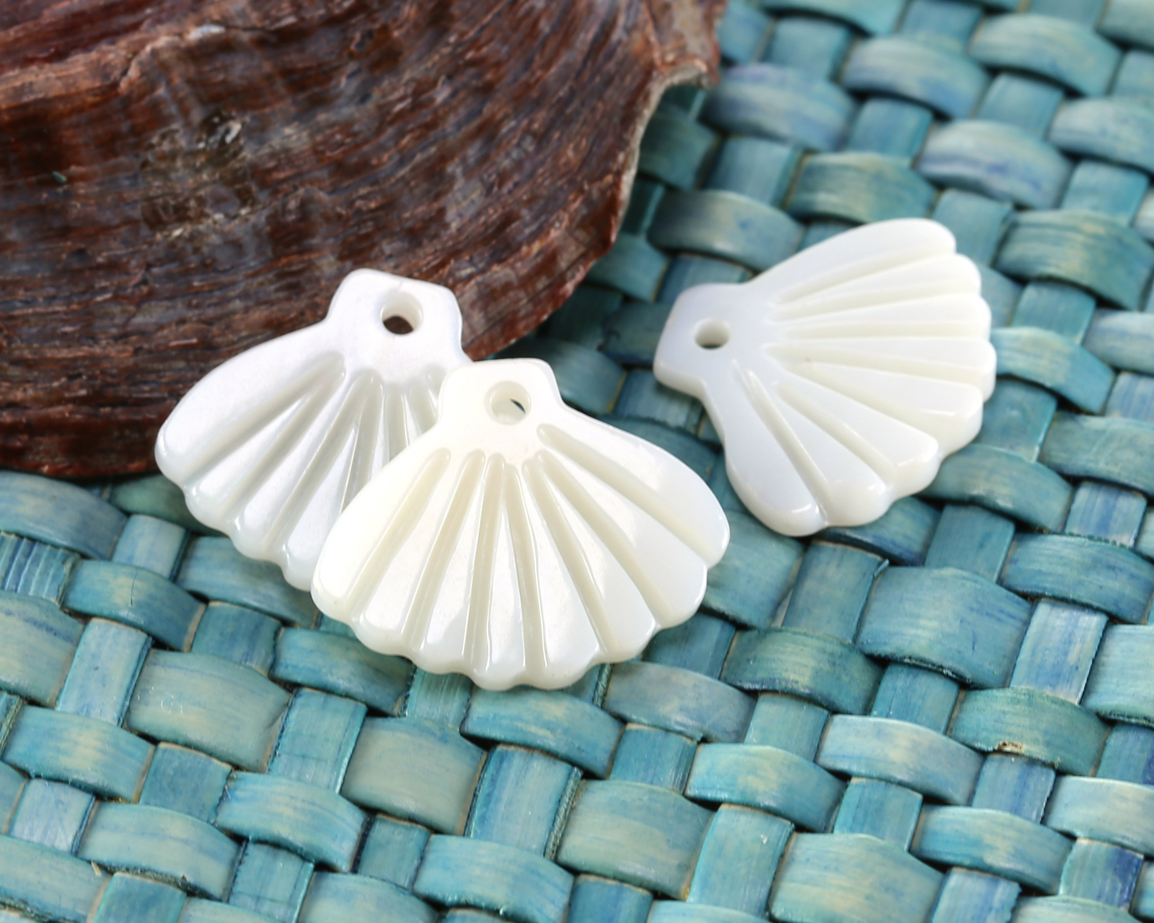 美品【often】スカラップパールscallop pearls pattern Scallop Pearls Archives - Wild Ocean Pearls