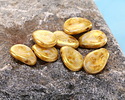 Czech Glass White w/ Gold Luster Flat Teardrop 8x11mm