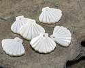 White Shell Carved Scallop Focal 20x16mm