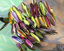 Czech Glass Textured Bird of Paradise Metallics Mix Dagger 5x16mm