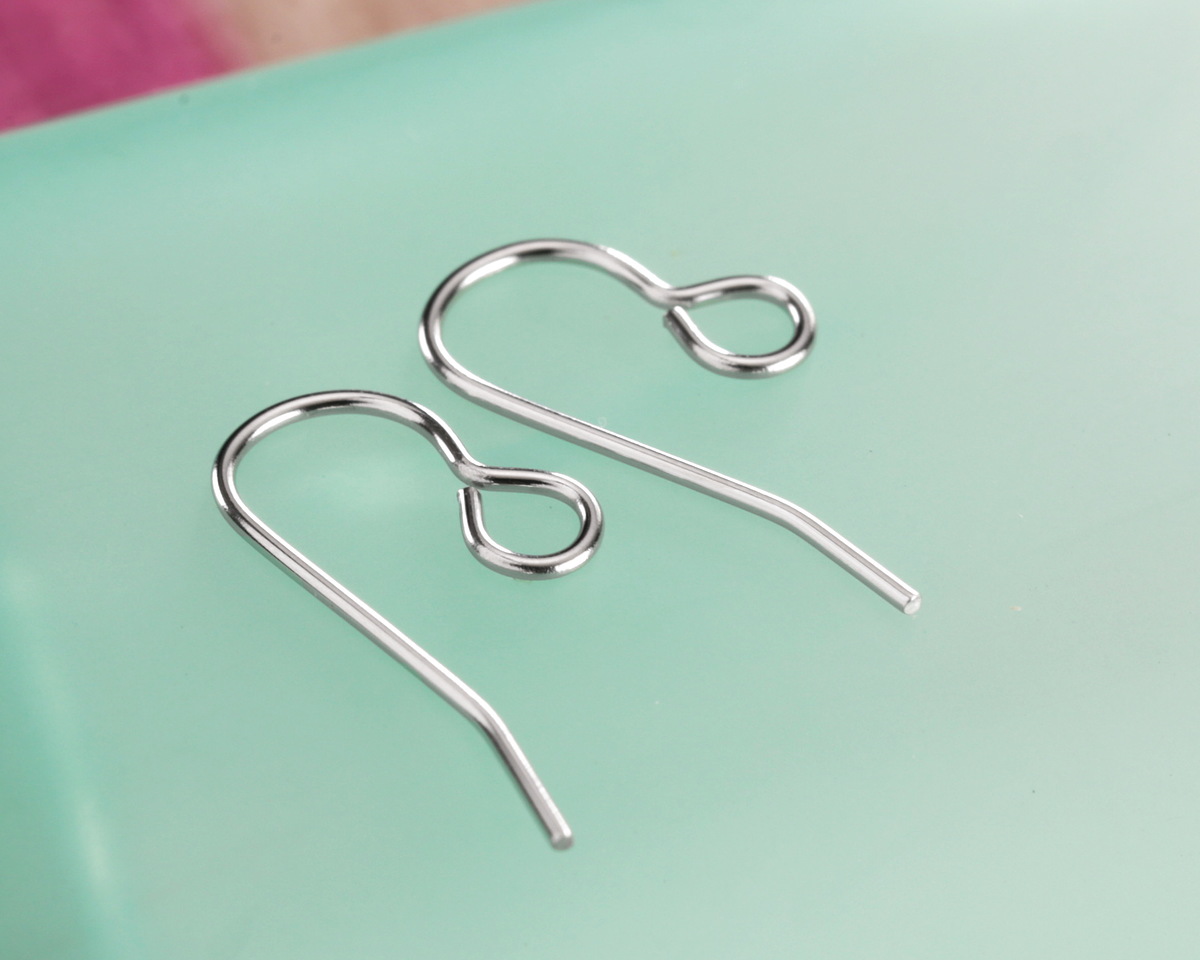 Stainless Steel Earwire w/ Loop 20x8mm