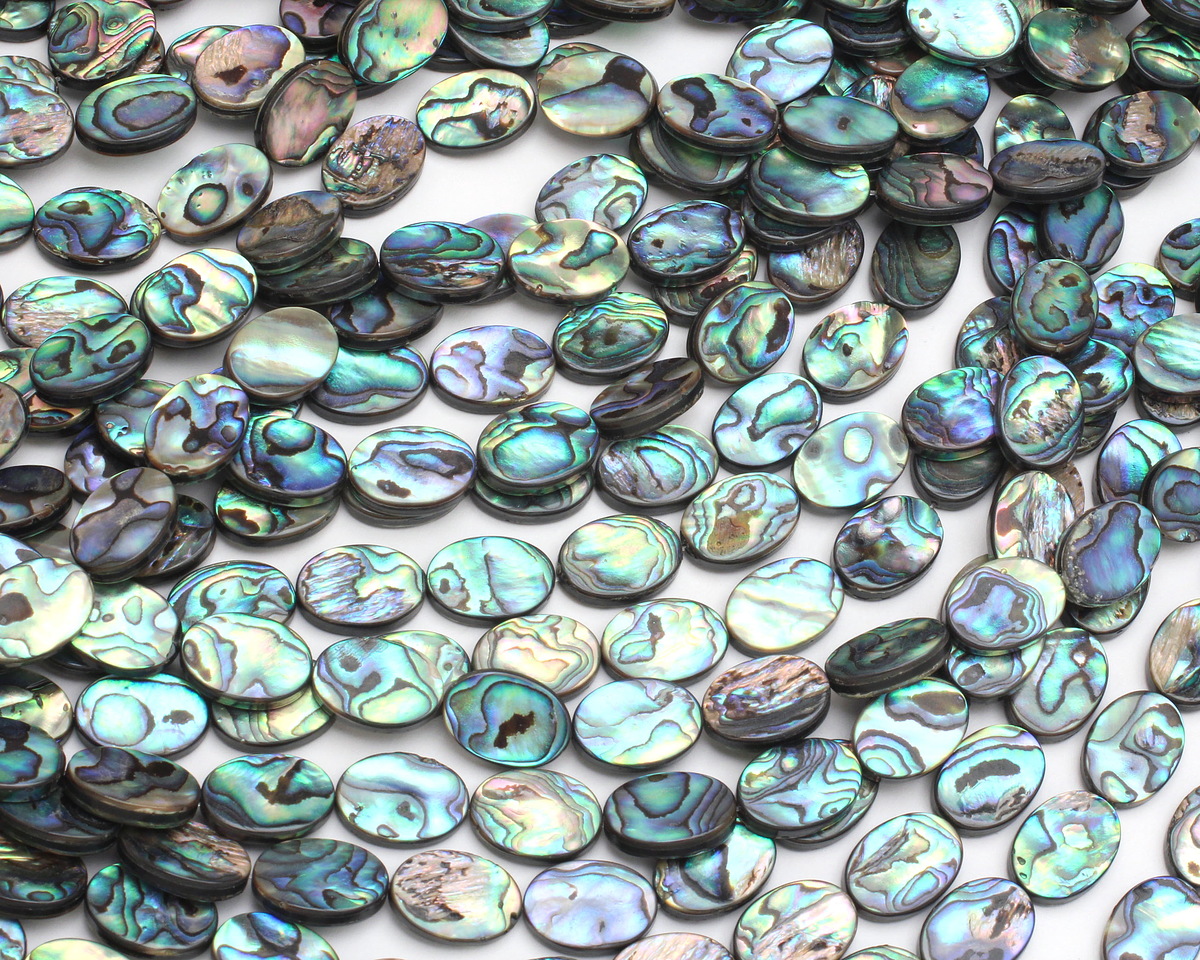 Abalone Flat Oval 18x13mm