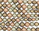 Multi (bronze, seafoam, verde) Shell Pearl Graduated 8-16mm