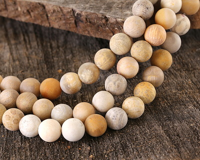 Indonesian Fossil Coral (Matte) Round 10mm